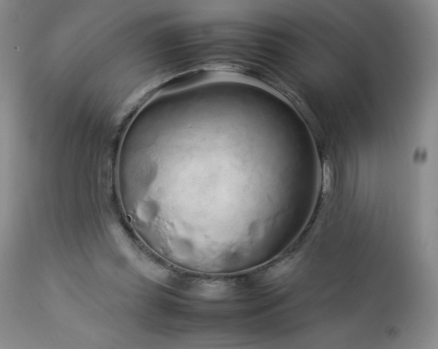 X0000113040349200908271511