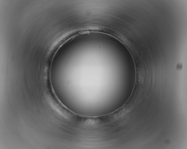 X0000113040350200908271511
