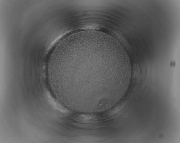 X0000113040351200908271511