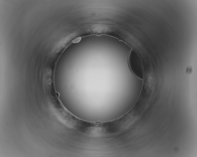 X0000113040356200908271511