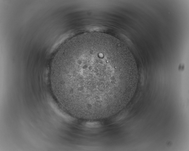 X0000113040357200908271511