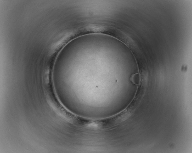 X0000113040358200908271511