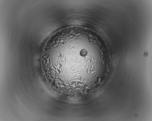 X0000113040359200908271511