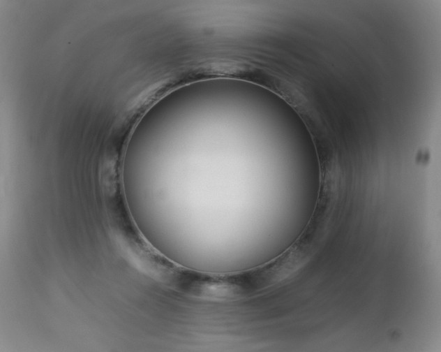 X0000113040360200908271511