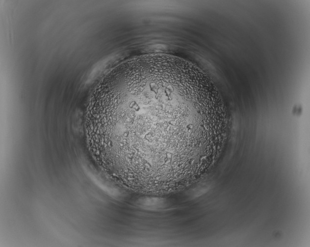 X0000113040361200908271511