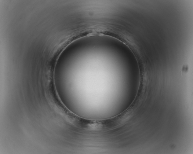 X0000113040362200908271511