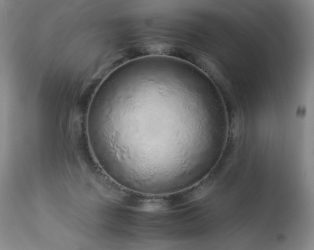 X0000113040363200908271511