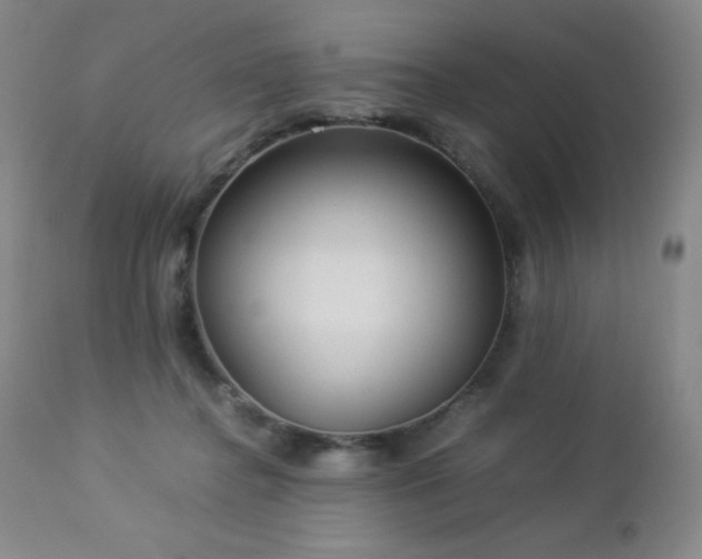 X0000113040364200908271511