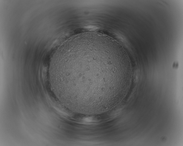 X0000113040365200908271511