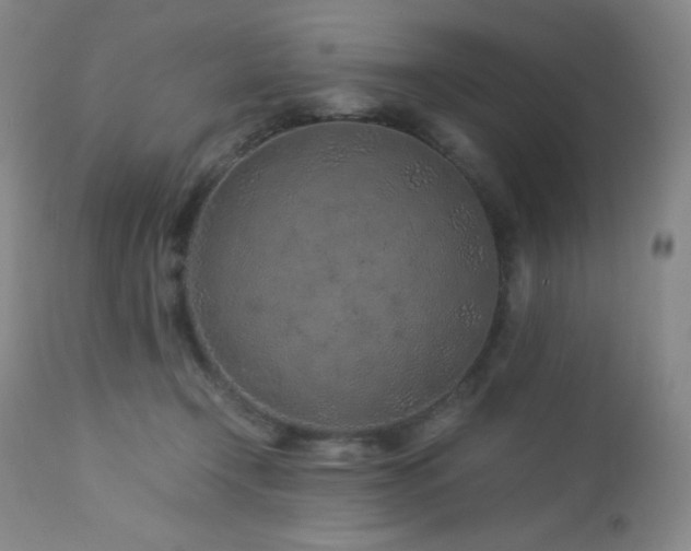 X0000113040366200908271511