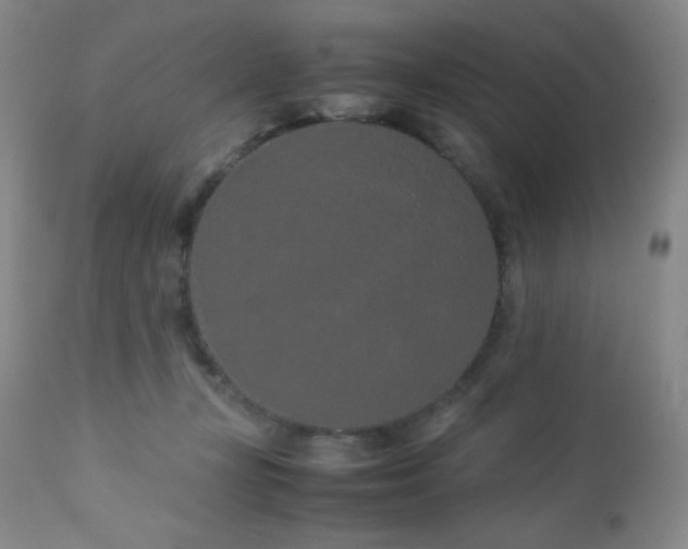 X0000113040367200908271511