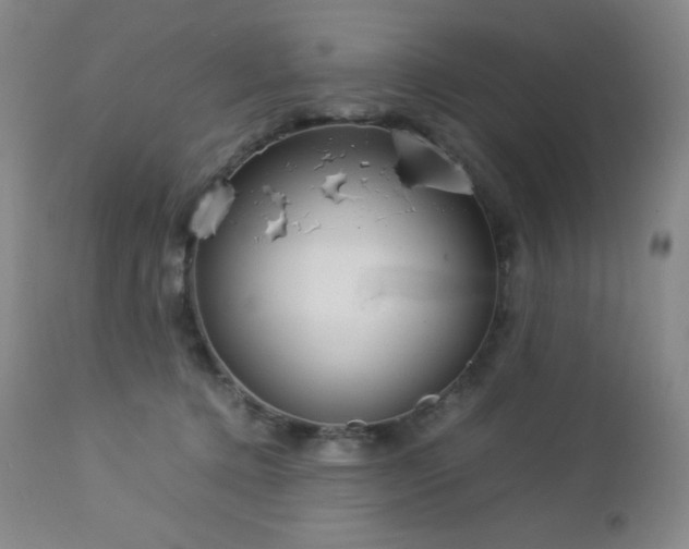 X0000113040368200908271511