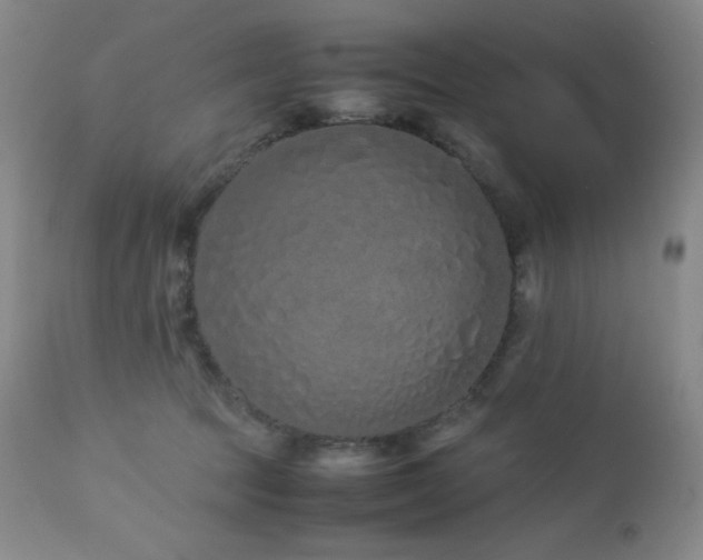 X0000113040369200908271511