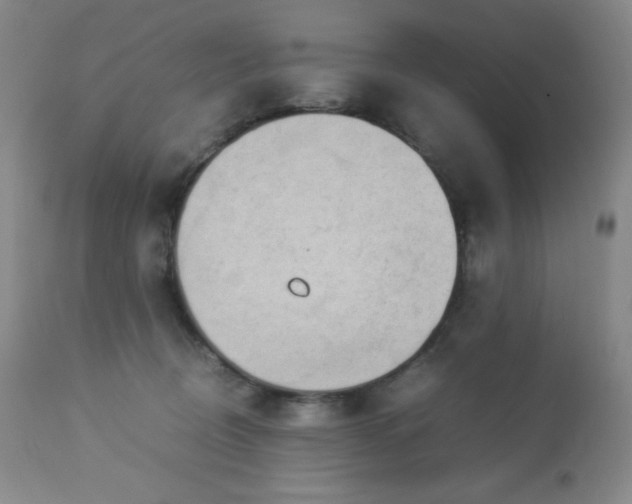 X0000113040370200908271511