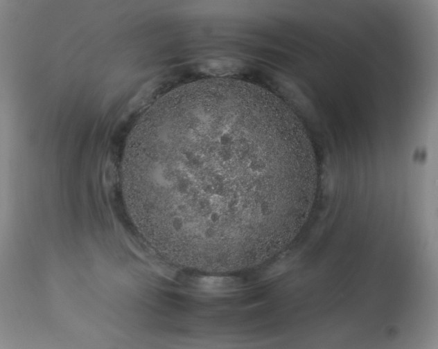 X0000113040371200908271511