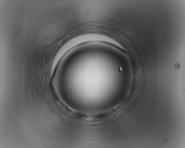 X0000113040372200908271511