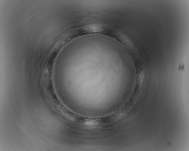 X0000113040373200908271511