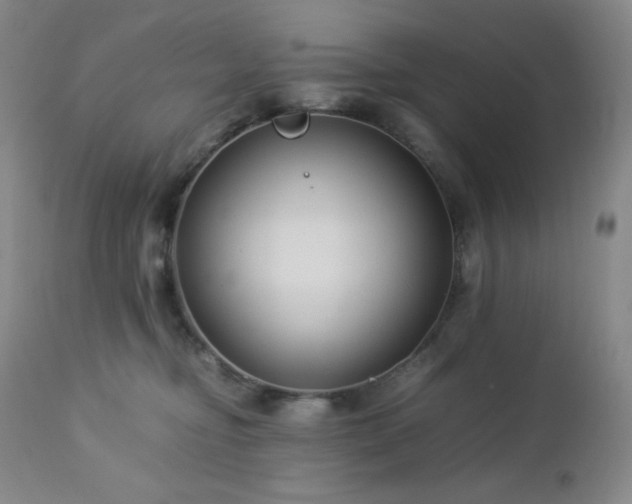 X0000113040374200908271512