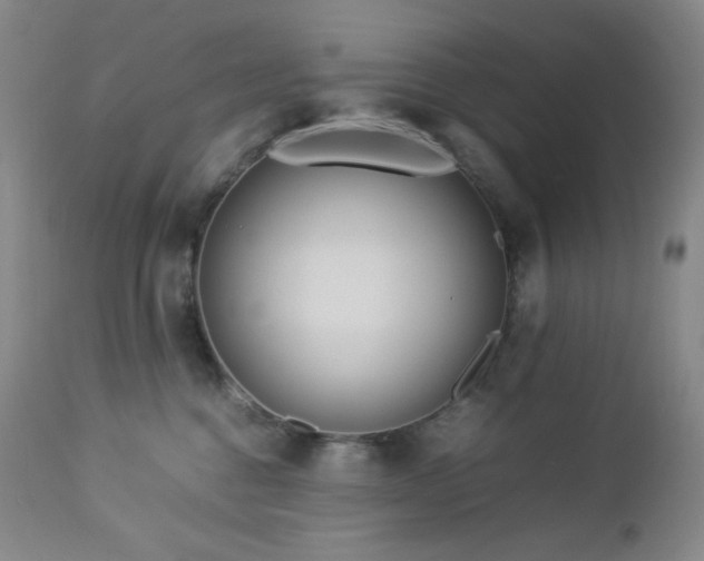X0000113040376200908271512