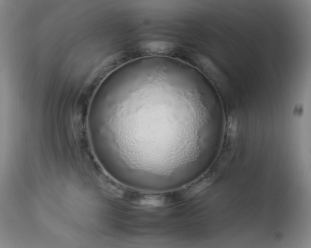 X0000113040377200908271512