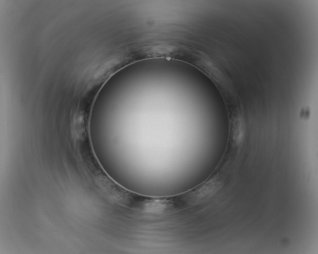 X0000113040378200908271512
