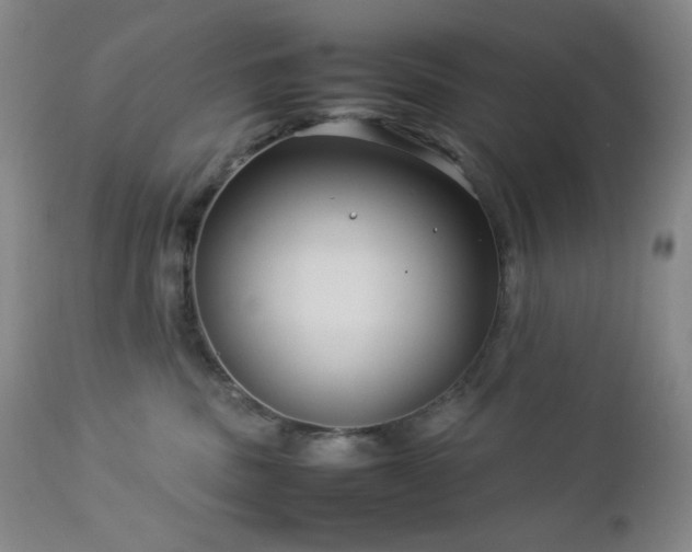 X0000113040379200908271512