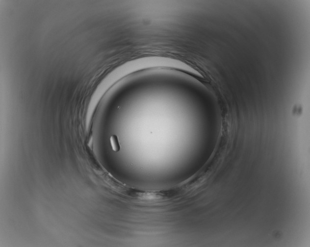 X0000113040380200908271512