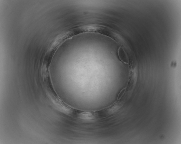X0000113040381200908271512