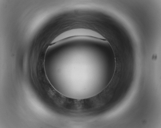 X0000113040382200908271512
