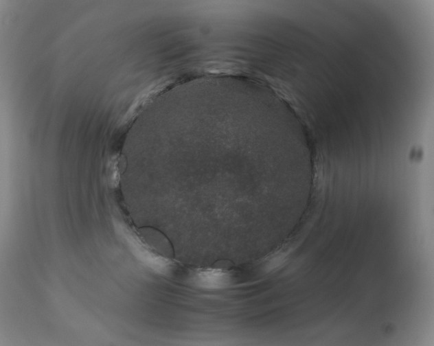 X0000113040383200908271512