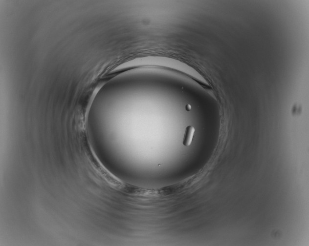X0000113040384200908271512