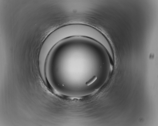 X0000113040385200908271511