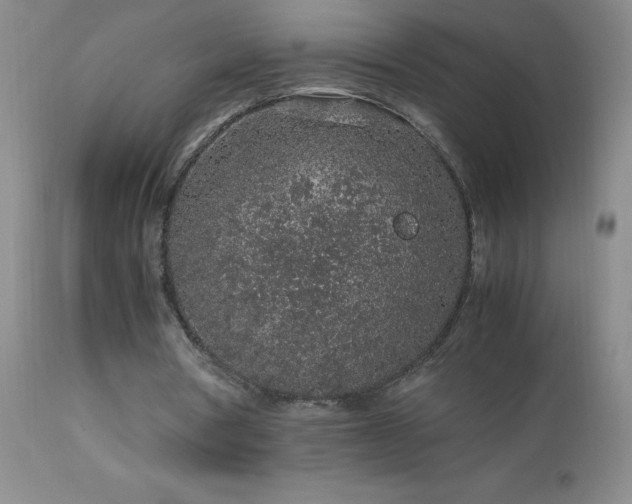 X0000113040386200908271511