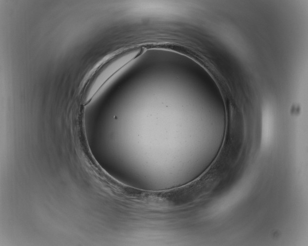 X0000113040387200908271511