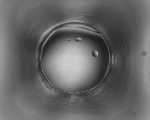 X0000113040388200908271511