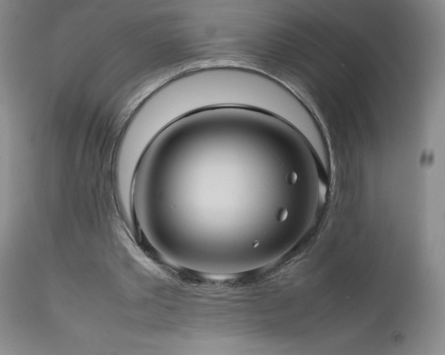 X0000113040389200908271511
