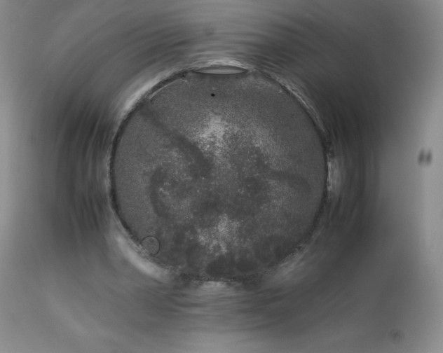 X0000113040390200908271511