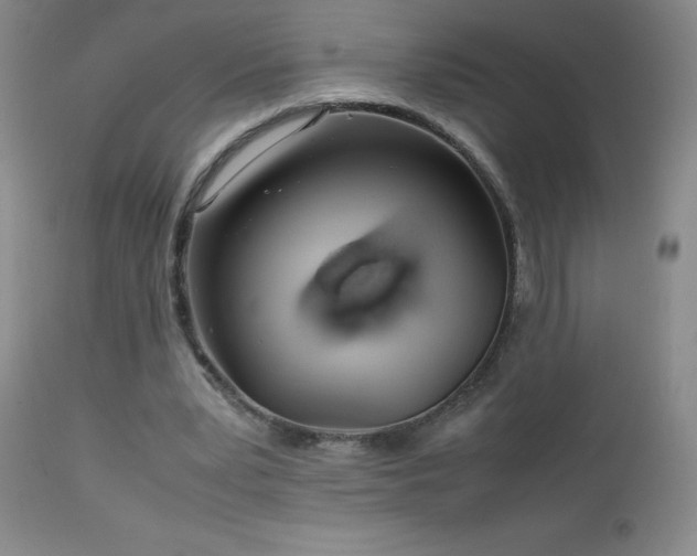 X0000113040391200908271511