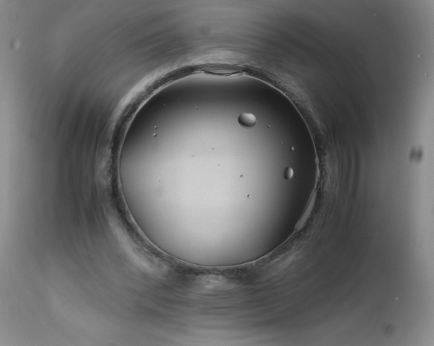 X0000113040392200908271511