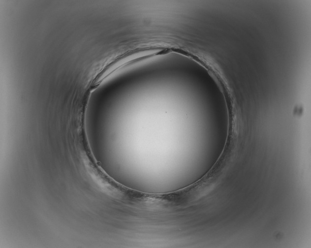 X0000113040393200908271511