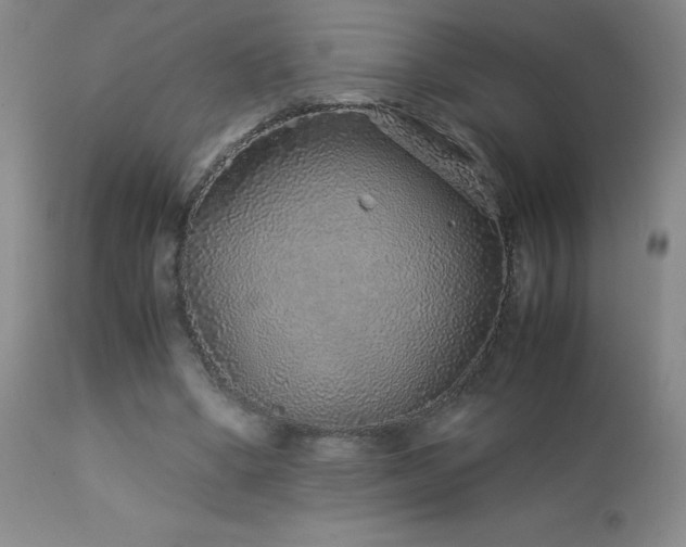X0000113040394200908271511