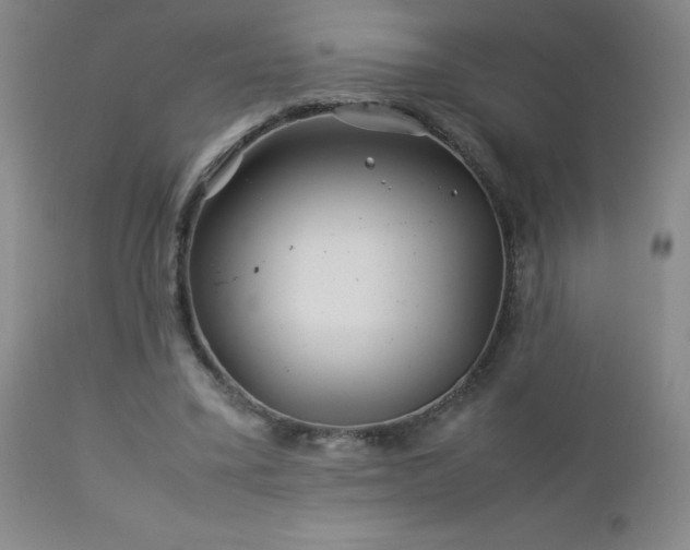 X0000113040395200908271511