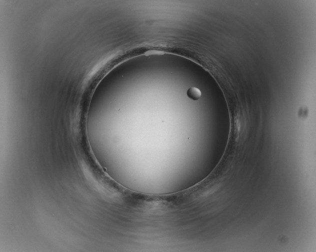 X0000113040396200908271511