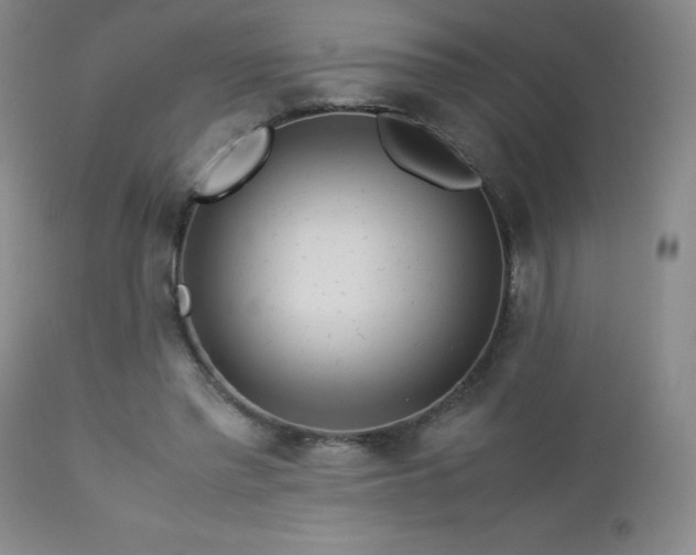 X0000113040397200908271511