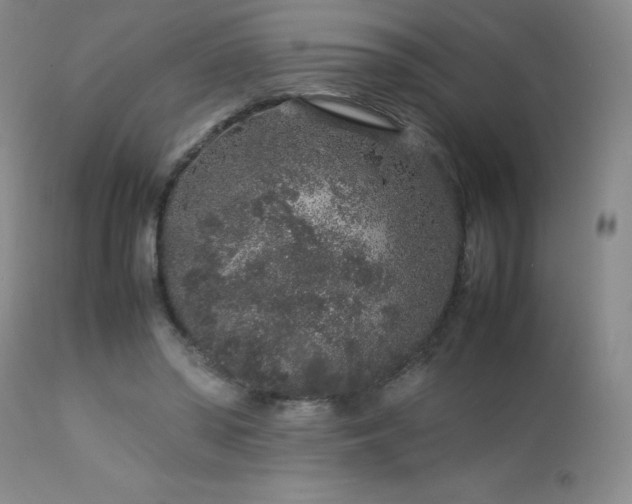 X0000113040398200908271511