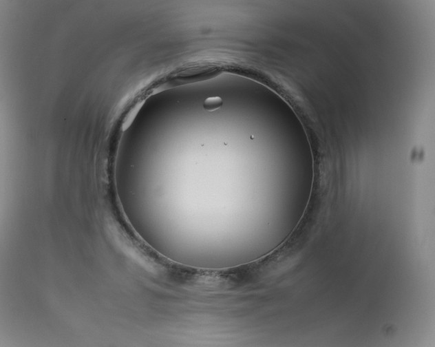 X0000113040399200908271511