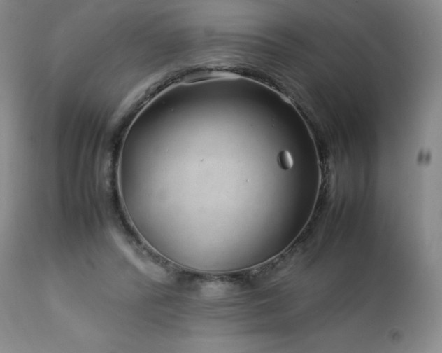 X0000113040400200908271511
