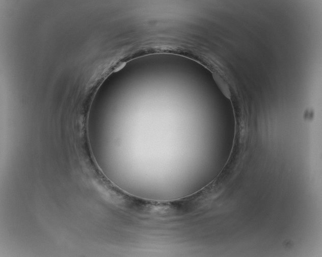 X0000113040401200908271511