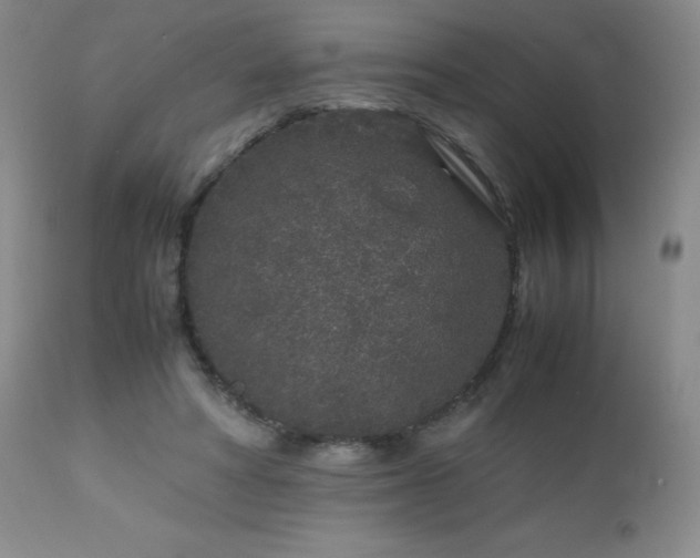 X0000113040402200908271511