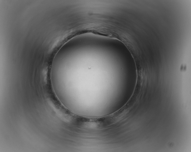 X0000113040404200908271511